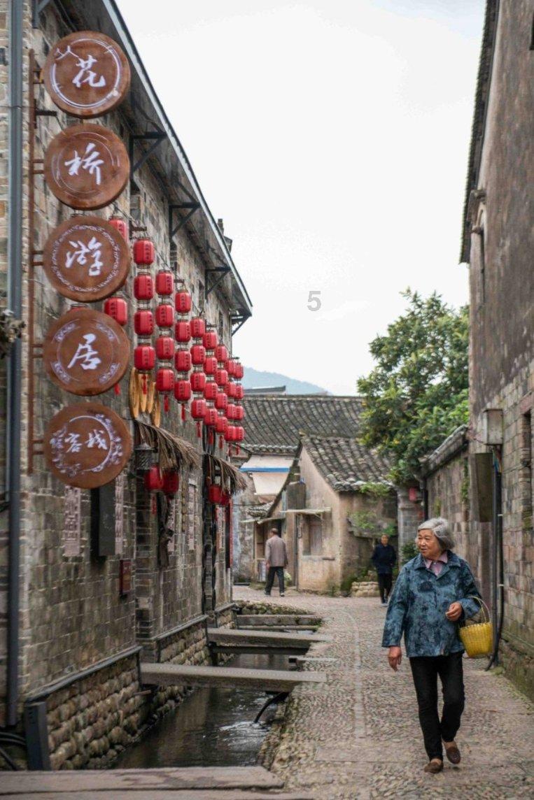 金刚鹦鹉逃生